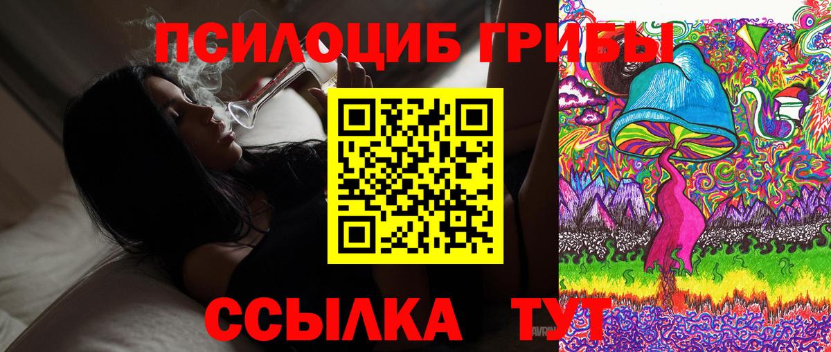 Галлюциногенные грибы ЛСД Урус-Мартан