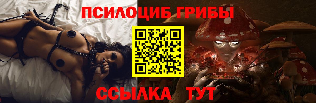 Урус-Мартан  Галлюциногенные грибы Cubensis  Вход с VPN  Псилоцибиновые грибы Psilocybe 